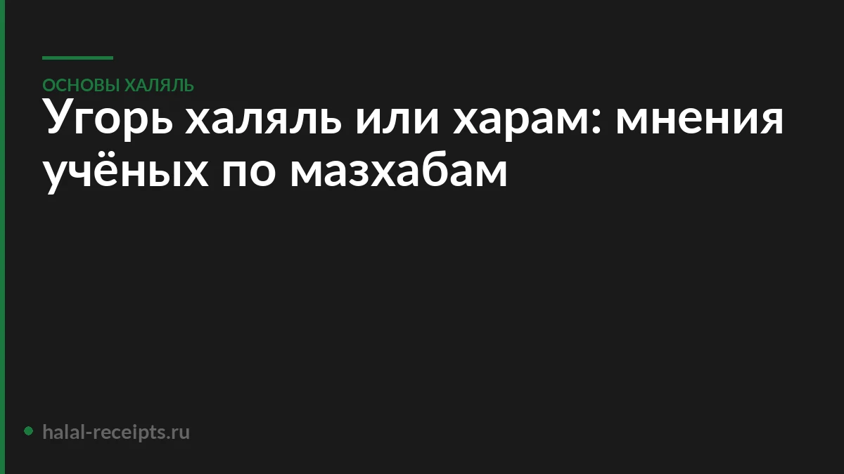 Угорь халяль или харам: мнения учёных по мазхабам