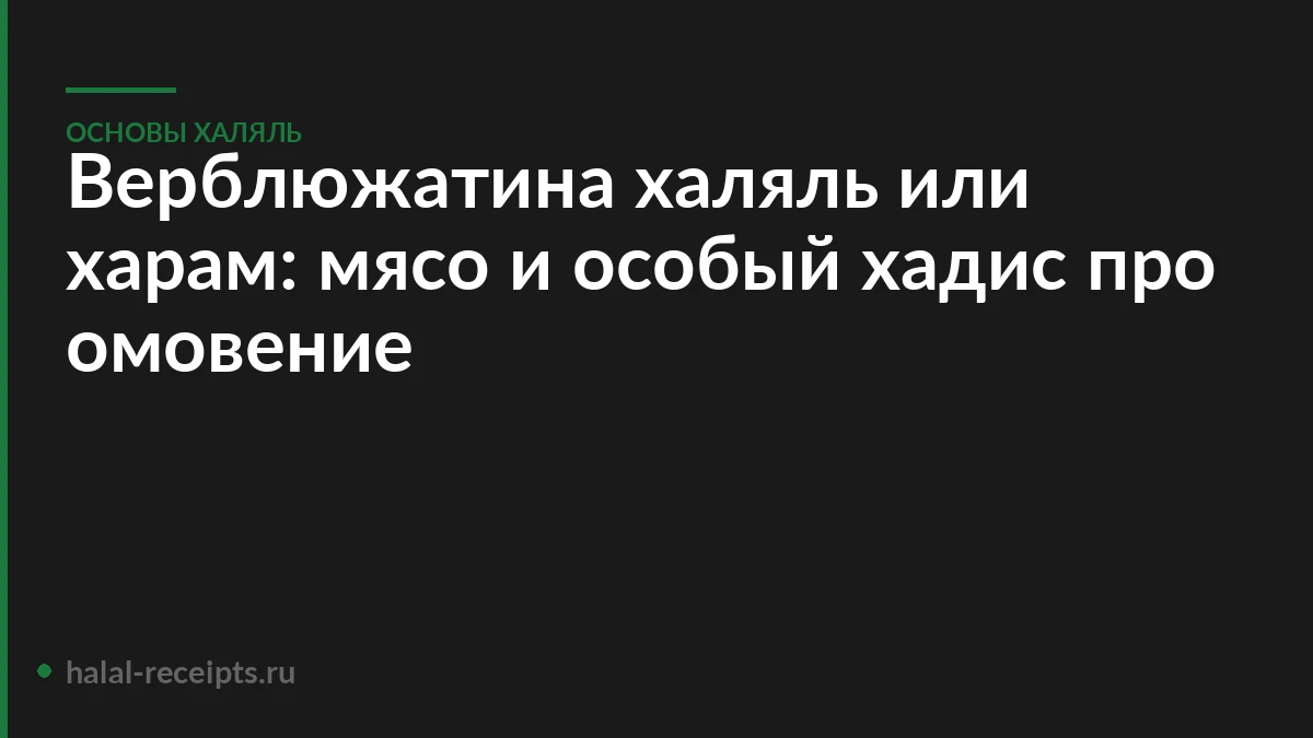 Верблюжатина халяль или харам: мясо и особый хадис про омовение
